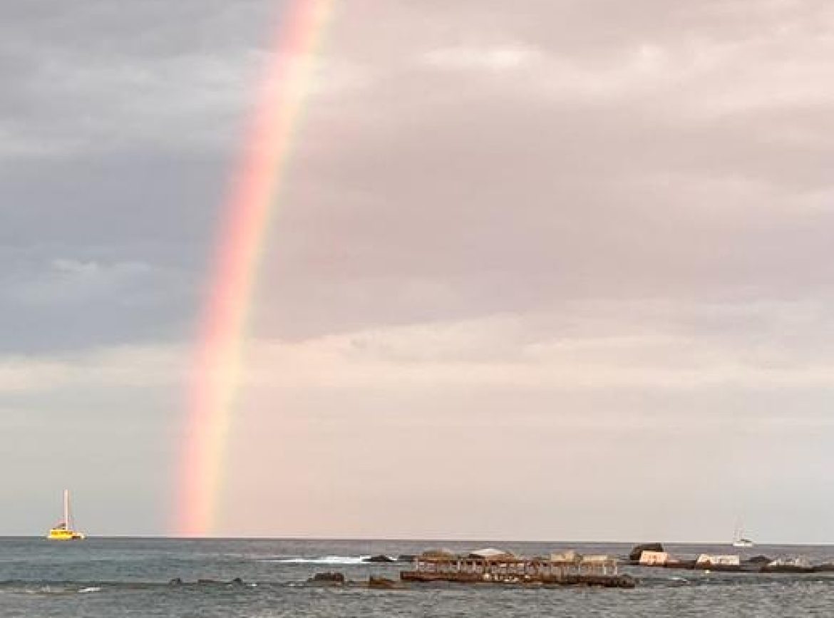 WhatsApp Image 2023-05-22 at 20.16.37 WhatsApp Image 2023-05-22 at 20.16.37